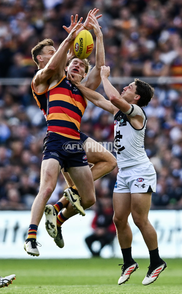 AFL 2025 Round 08 - Adelaide v Carlton - A-59153255