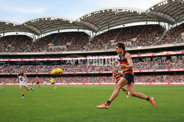 AFL 2025 Round 08 - Adelaide v Carlton - A-59153270