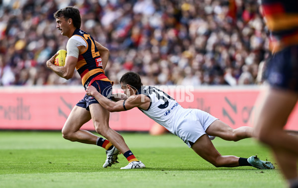 AFL 2025 Round 08 - Adelaide v Carlton - A-59154390
