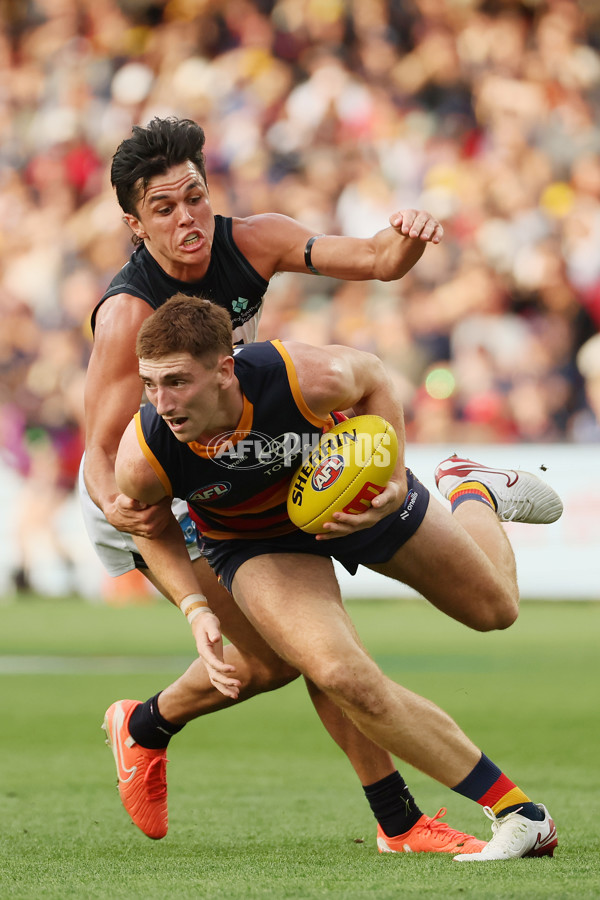 AFL 2025 Round 08 - Adelaide v Carlton - A-59154414
