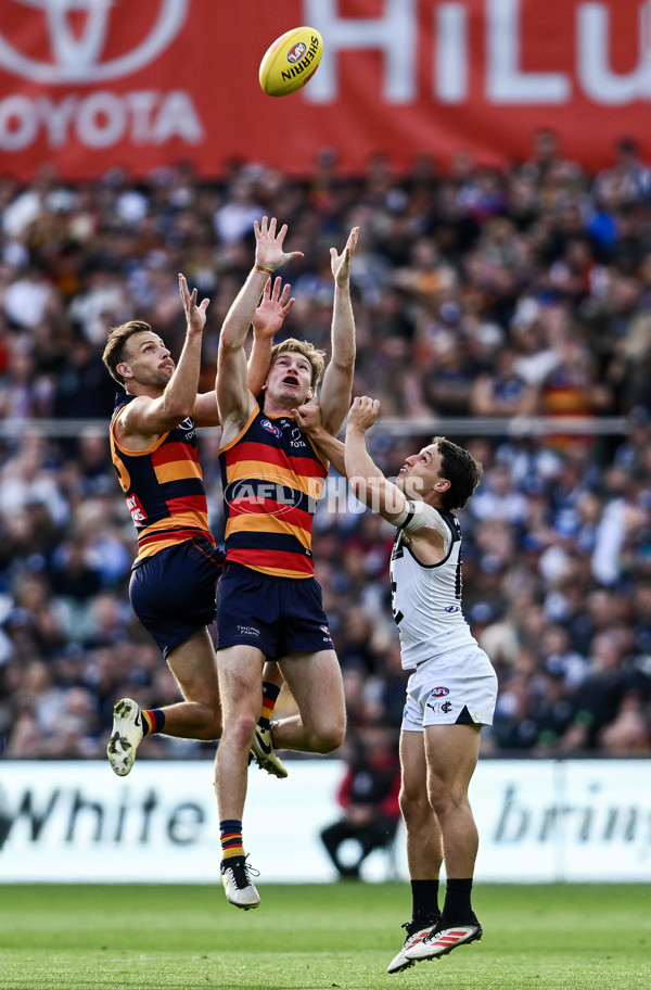 AFL 2025 Round 08 - Adelaide v Carlton - A-59154422