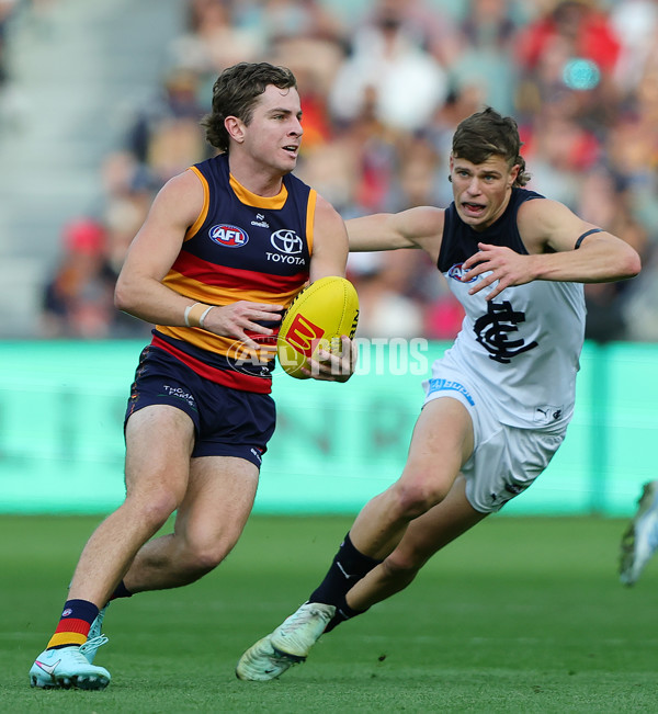AFL 2025 Round 08 - Adelaide v Carlton - A-59154433