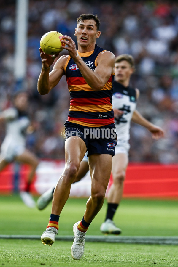 AFL 2025 Round 08 - Adelaide v Carlton - A-59154453