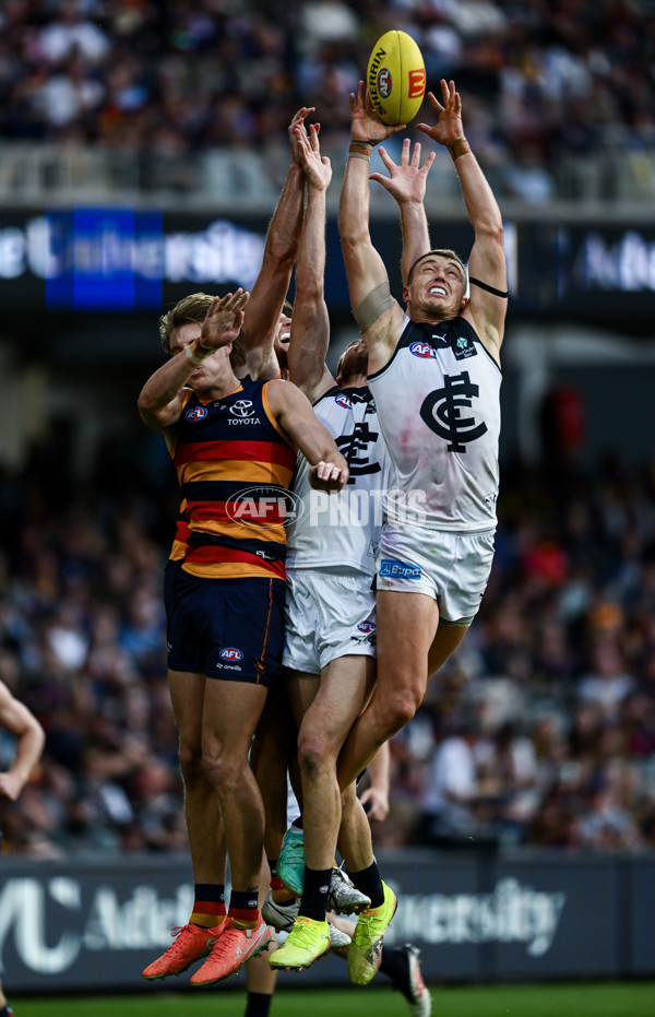 AFL 2025 Round 08 - Adelaide v Carlton - A-59154467