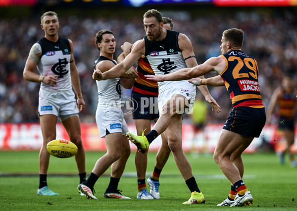 AFL 2025 Round 08 - Adelaide v Carlton - A-59155909