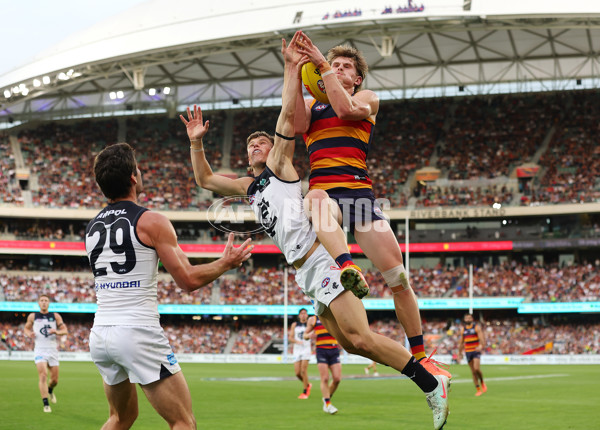 AFL 2025 Round 08 - Adelaide v Carlton - A-59155910