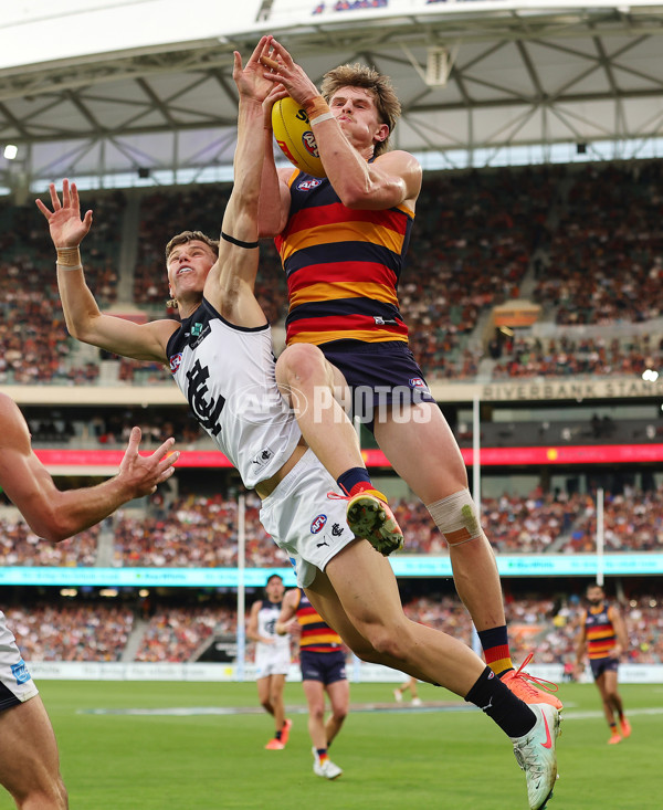 AFL 2025 Round 08 - Adelaide v Carlton - A-59155913