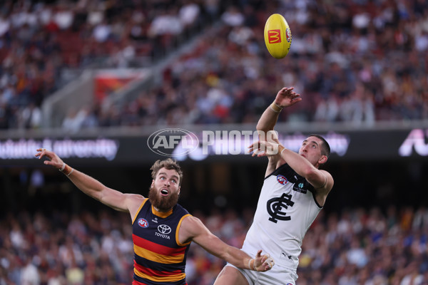 AFL 2025 Round 08 - Adelaide v Carlton - A-59155947