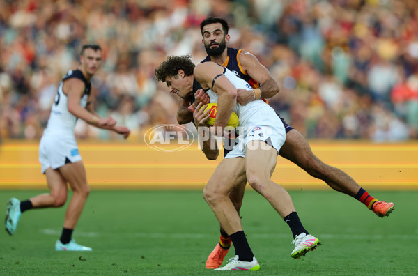 AFL 2025 Round 08 - Adelaide v Carlton - A-59155953
