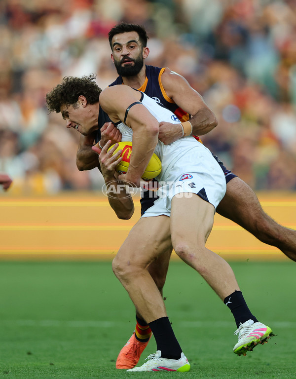 AFL 2025 Round 08 - Adelaide v Carlton - A-59155956