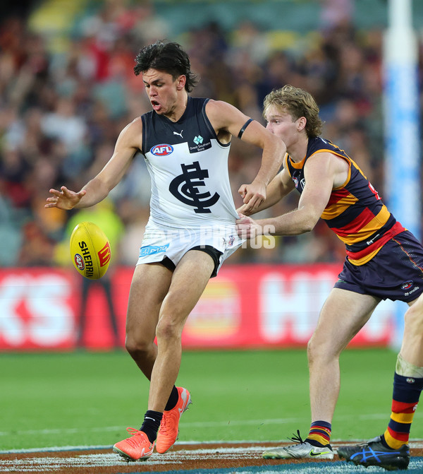 AFL 2025 Round 08 - Adelaide v Carlton - A-59155963