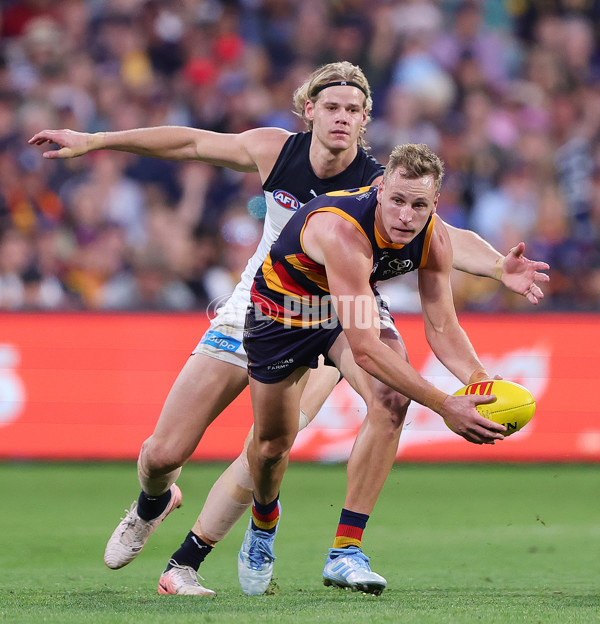 AFL 2025 Round 08 - Adelaide v Carlton - A-59155970