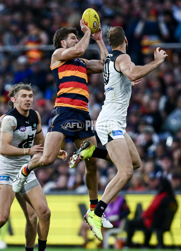 AFL 2025 Round 08 - Adelaide v Carlton - A-59155972