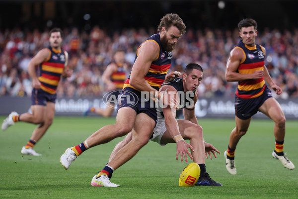 AFL 2025 Round 08 - Adelaide v Carlton - A-59156713