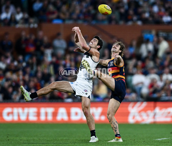 AFL 2025 Round 08 - Adelaide v Carlton - A-59156749