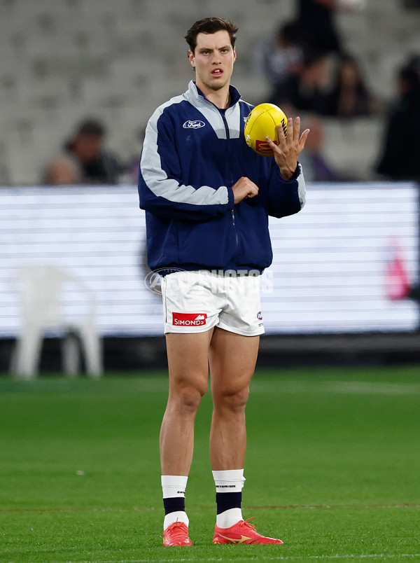 AFL 2025 Round 08 - Collingwood v Geelong - A-59156789