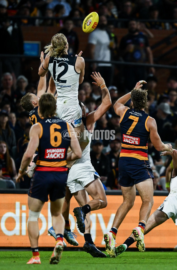 AFL 2025 Round 08 - Adelaide v Carlton - A-59156798