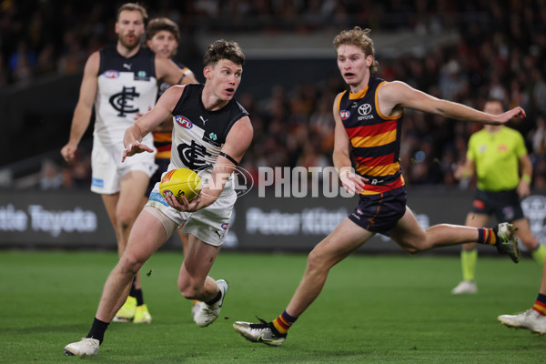 AFL 2025 Round 08 - Adelaide v Carlton - A-59156799