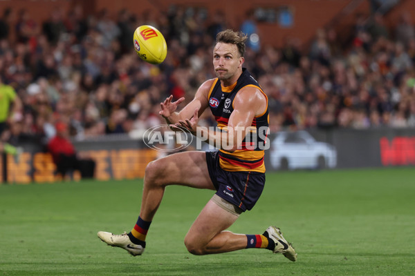 AFL 2025 Round 08 - Adelaide v Carlton - A-59158057