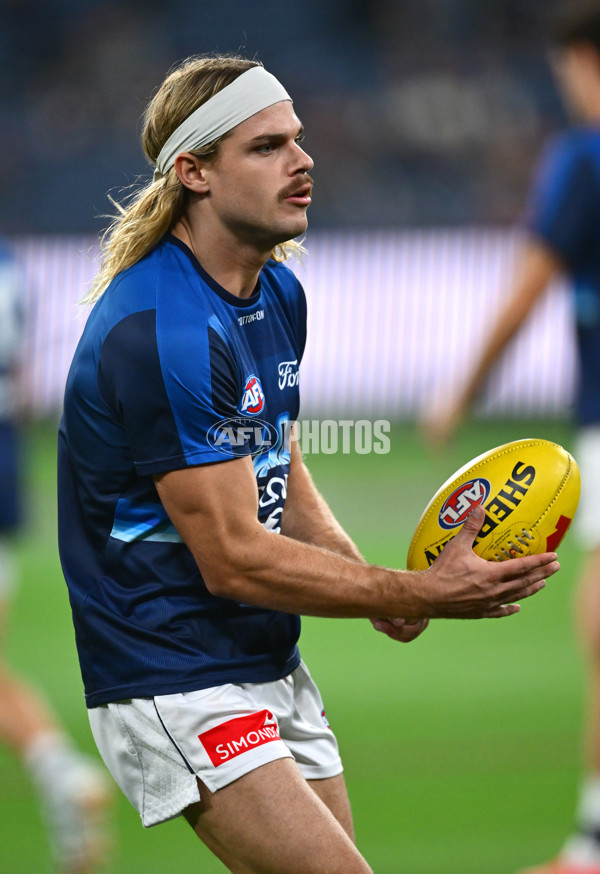 AFL 2025 Round 08 - Collingwood v Geelong - A-59158104