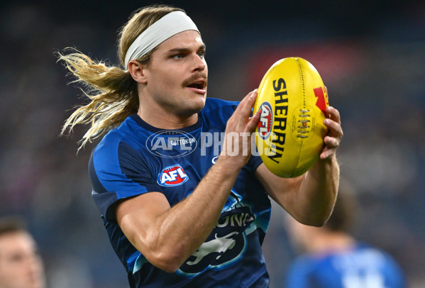 AFL 2025 Round 08 - Collingwood v Geelong - A-59158113