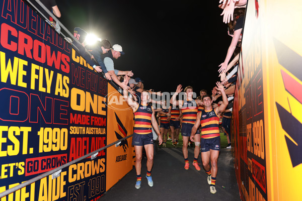 AFL 2025 Round 08 - Adelaide v Carlton - A-59159233