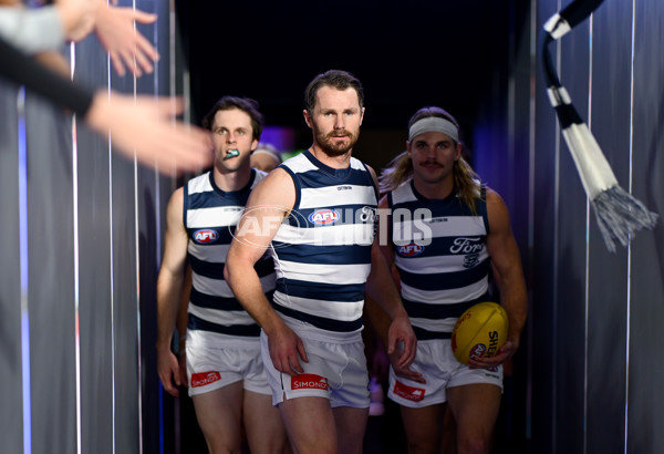 AFL 2025 Round 08 - Collingwood v Geelong - A-59160728