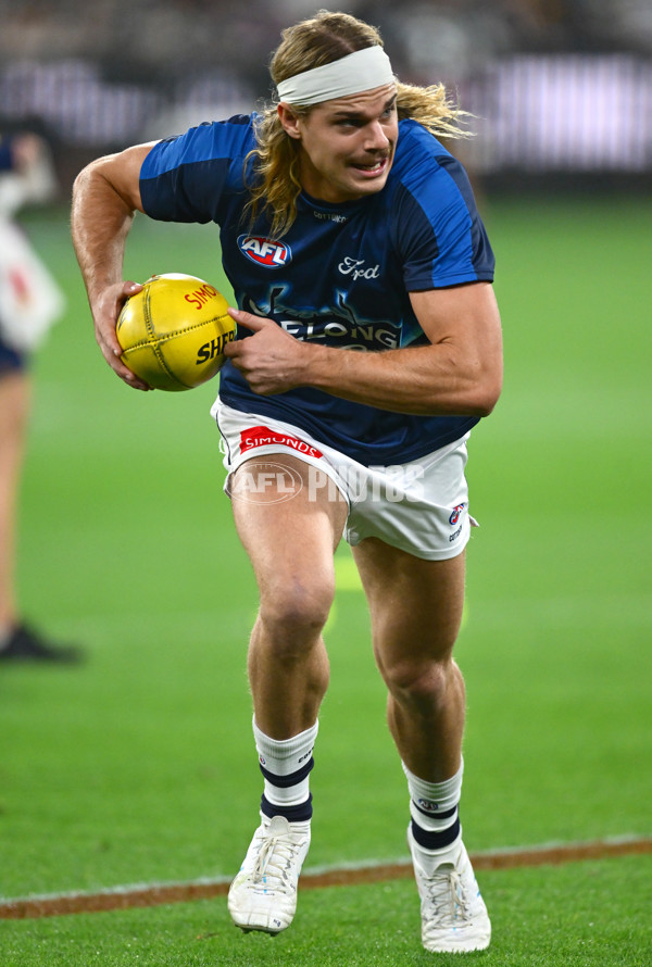 AFL 2025 Round 08 - Collingwood v Geelong - A-59161165
