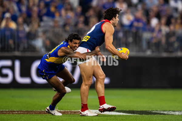 AFL 2025 Round 08 - West Coast v Melbourne - A-59161222