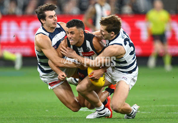 AFL 2025 Round 08 - Collingwood v Geelong - A-59163294