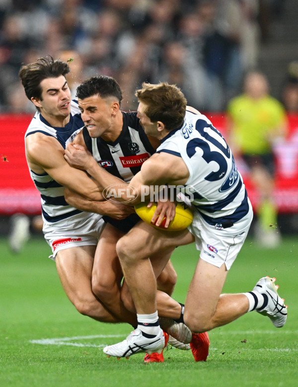 AFL 2025 Round 08 - Collingwood v Geelong - A-59163295