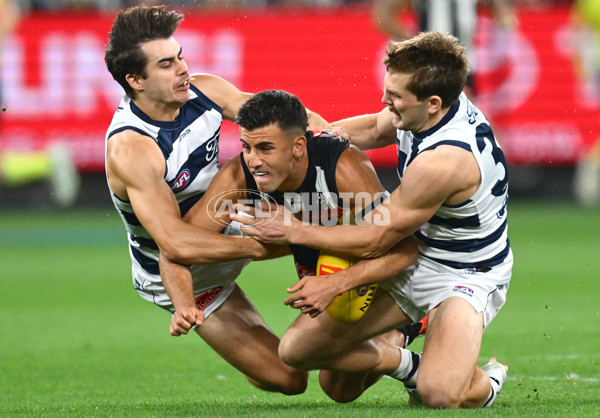 AFL 2025 Round 08 - Collingwood v Geelong - A-59163296