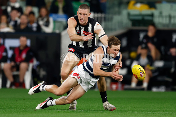 AFL 2025 Round 08 - Collingwood v Geelong - A-59163309