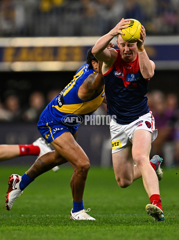 AFL 2025 Round 08 - West Coast v Melbourne - A-59163317