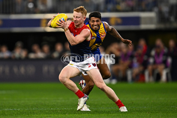AFL 2025 Round 08 - West Coast v Melbourne - A-59163318