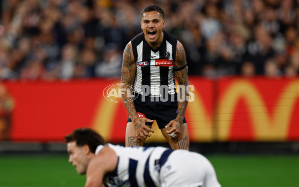AFL 2025 Round 08 - Collingwood v Geelong - A-59163333