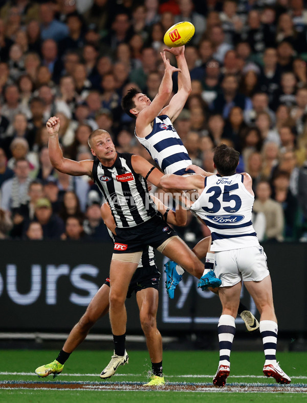 AFL 2025 Round 08 - Collingwood v Geelong - A-59163367