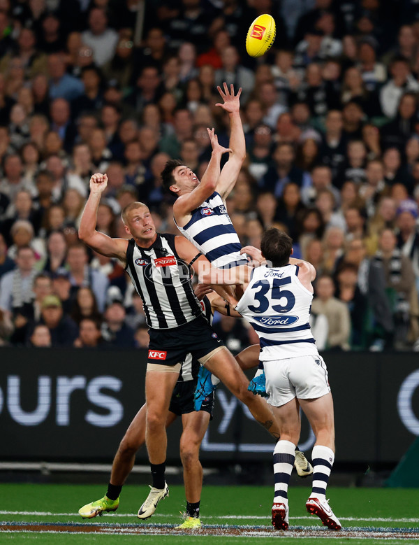 AFL 2025 Round 08 - Collingwood v Geelong - A-59163368