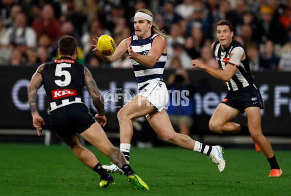 AFL 2025 Round 08 - Collingwood v Geelong - A-59163369
