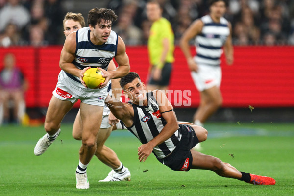 AFL 2025 Round 08 - Collingwood v Geelong - A-59163373