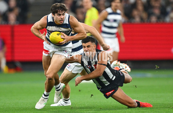 AFL 2025 Round 08 - Collingwood v Geelong - A-59163374