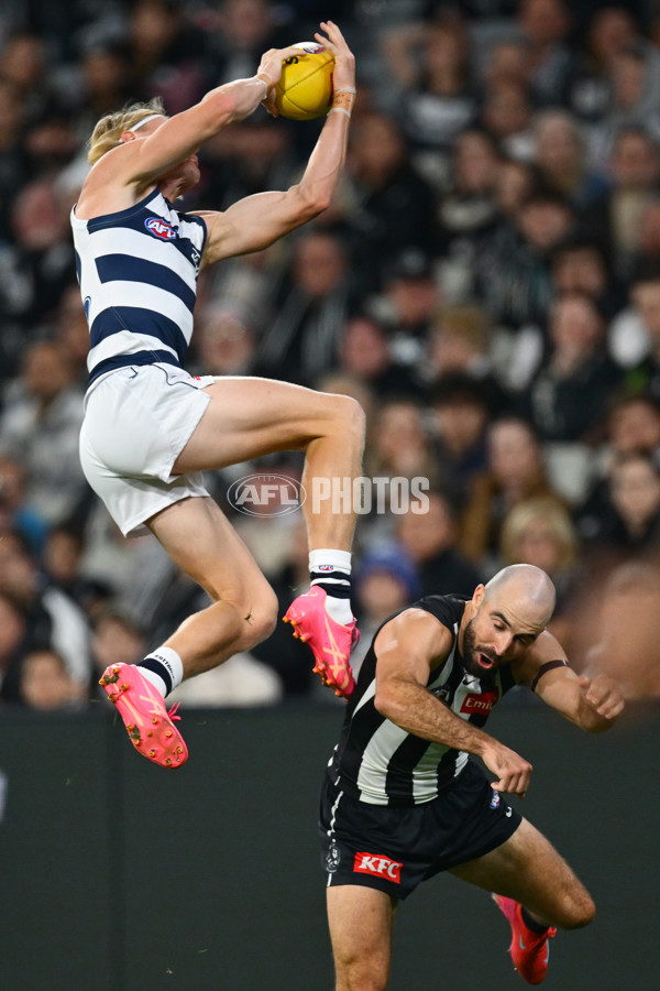 AFL 2025 Round 08 - Collingwood v Geelong - A-59163919