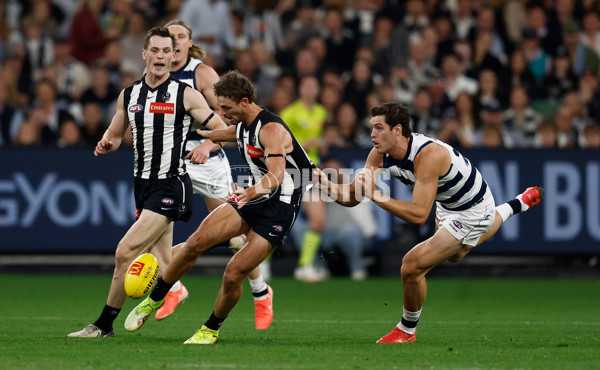 AFL 2025 Round 08 - Collingwood v Geelong - A-59163926