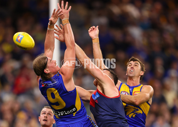 AFL 2025 Round 08 - West Coast v Melbourne - A-59163937