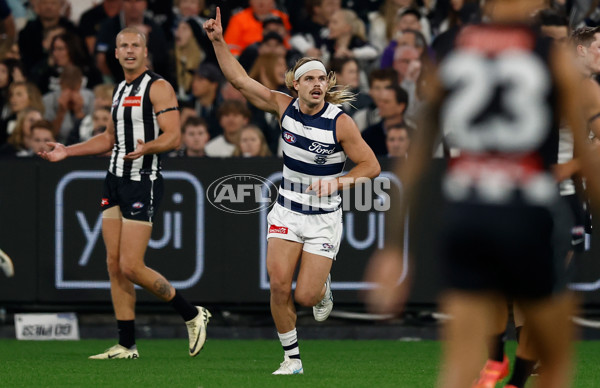 AFL 2025 Round 08 - Collingwood v Geelong - A-59163939