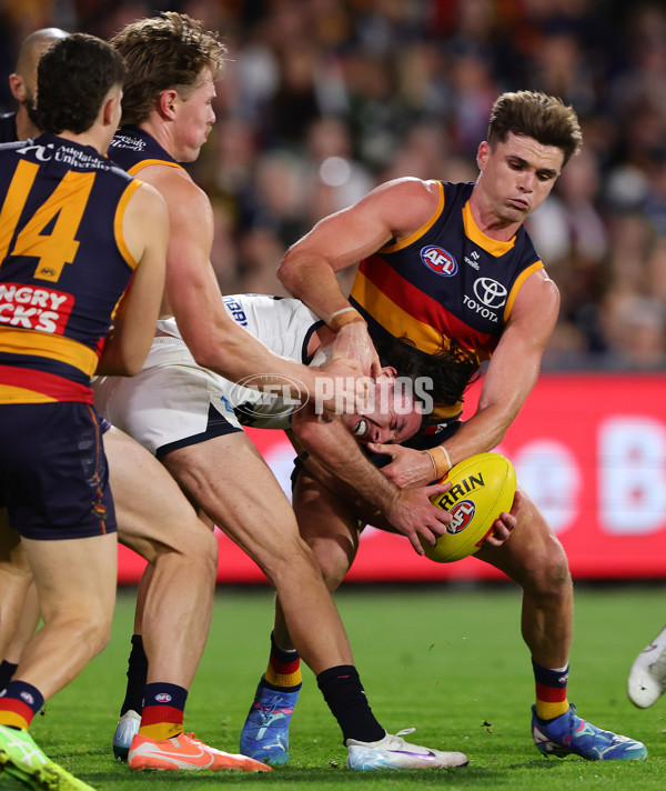 AFL 2025 Round 08 - Adelaide v Carlton - A-59163956