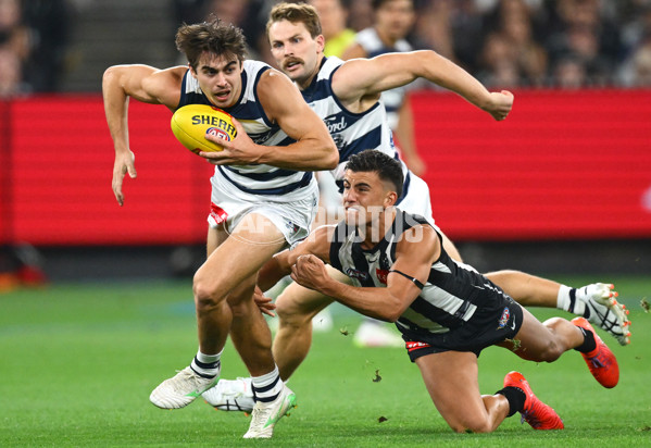 AFL 2025 Round 08 - Collingwood v Geelong - A-59163963