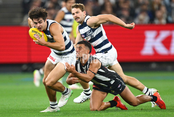 AFL 2025 Round 08 - Collingwood v Geelong - A-59163969