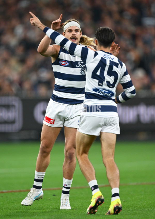 AFL 2025 Round 08 - Collingwood v Geelong - A-59163974