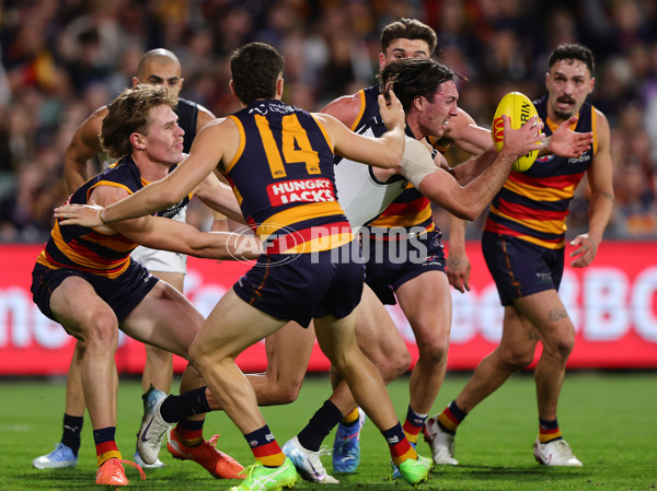 AFL 2025 Round 08 - Adelaide v Carlton - A-59165598